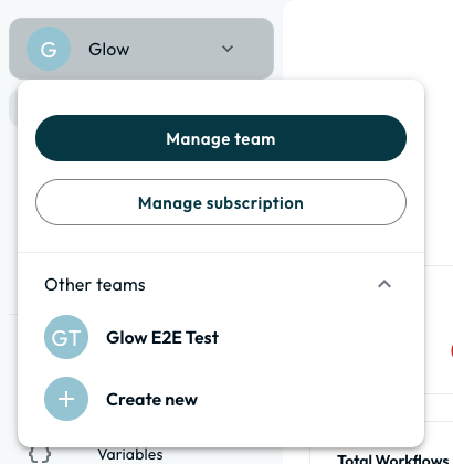 The workspace menu open from the top-left logo, showing the current team and its member count